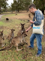 Великий кормчий.jpeg Великий кормчий.jpeg